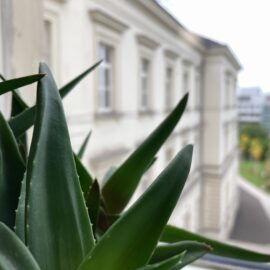 84 Jugendliche nahmen 2022 an KICK teil