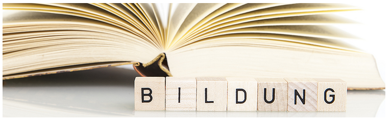 book and holzwürfeln in front